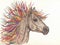 Beautiful Horse with bright colorful mane.Drawning by pencil .Close-up