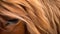 beautiful horse mane moving in the wind, welsh pony running with long mane, galloping horse, equine portrait close up