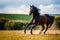 A beautiful horse. The Untamed Spirit. A Journey into the World of Horses. Generative AI