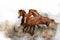 Beautiful horses kicking up dust while running on white background