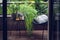 Beautiful House Plants with Water Droplets on Balcony