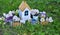 Beautiful house with wildflowers, fence and watering can