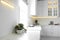 Beautiful houseplants near sink in kitchen interior