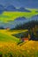 Beautiful houses in flower mountains oil painting. Mountain summer floral landscape