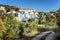 Beautiful houses in green trees along the road. Resort city on a sunny day