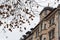 Beautiful houses and shops in Neuhauser street, Munich - Germany