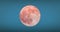 Beautiful Huge Moon at Morning-Evening Orange Color Close-up Animation Seamless. Big Low Moon Glowing in Warm Distortion