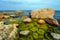 Beautiful huge stones in the sea with small stones under water overgrown with green algae in the Gulf of Finland.