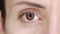 Beautiful human eye close-up. Young Woman brown one eye. Macro Closeup eye blinking and looking. Eyelid, iris, Eyesight