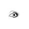Beautiful human eye with eyelashes grahic drawing.