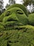 Beautiful human face made from plants