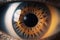 Beautiful human macro eye closeup with eyeball and iris looking front.
