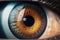 Beautiful human macro eye closeup zoom with eyeball and iris.