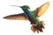 Beautiful Hummingbird in Flight on white background . AI generated Illustration