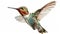 Beautiful hummingbird flying realistic closeup portrait of bird