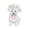 Beautiful Husky in a wreath of lilies. Lovely puppy in a flower wreath. Pedigree dog. Vector illustration.A cute puppy.