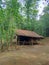 beautiful huts beside the Cisadane river with bamboo architecture and under bamboo trees