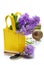 Beautiful Hyacinths and garden tools