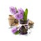 Beautiful Hyacinths and garden tools