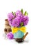 Beautiful Hyacinths and garden tools