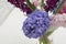 Beautiful hyacinths in glass vase on blurred background