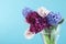 Beautiful hyacinths in glass vase on color background