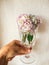 Beautiful Hydrangea colorful bouquet in wine glass with water, r