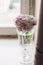 Beautiful hydrangea flowers in vintage glass with water on rustic white wood of old windowsill. Countryside still life. Happy