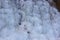 Beautiful ice structures of a frozen waterfall, pretty icicles forming an interesting pattern on a dark rock,