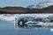 Beautiful iceberg reflection in a Icelandic lake`s waters