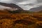 Beautiful Icelandic fall colors in a valley