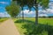 Beautiful idyllic dutch countryside rural landscape, cycle path, green tree line, agriculture field - Ohe en Laak, Netherlands