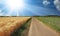 Beautiful idyllic dutch lonely endless straight bike and hiking trail between agricultural fields with morning sunshine rays -