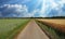 Beautiful idyllic dutch lonely endless straight bike and hiking trail between agricultural fields with morning sunshine rays -