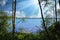 Beautiful idyllic dutch morning lake scenery landscape, forest trees, sun rays - Maasduinen NP, Netherlands