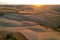 Beautiful idyllic sunny late summer landscape of Toscana with house, hills, trees and fields.