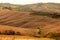 Beautiful idyllic sunny late summer landscape of Toscana with house, hills, trees and fields.