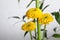 Beautiful ikebana for stylish house decor. Floral composition with fresh chrysanthemum flower and branches on blurred background,