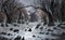 Beautiful illustrated fantasy landscape of a frozen wilderness with dry leafless trees