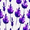 Beautiful illustration of a lovely lavender flower
