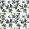 Beautiful illustration pattern foliage and fruit and leaf.  Blueberry bouquet botanical seamless repeat pattern texture background