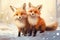 A beautiful image capturing two foxes standing side by side in a snowy landscape, Two small cute foxes in the snow, an