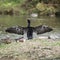 Beautiful image of Cormorant Phalacrocoracidae spreading wings i