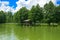 A beautiful image of a landscape from the center of a river surrounded by trees and reeds on the shore against a blue sky in