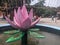 Beautiful image of statue of lotus with water in bhabhutinath sarawasti utter pradesh india on 25 July 2021