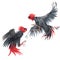 Beautiful image with watercolor fighting black roosters. Stock illustration.
