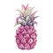 Beautiful image with watercolor pineapple. Stock illustration.