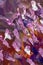 Beautiful impressionism abstract flower painting close-up macro