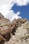 Beautiful inclined bedded Sedimentary rocks near Hemis monastery, Leh