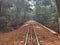 Beautiful Infinity Train Track walk in alone lonely around nature Matheran Maharashtra India Solitude